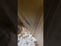 ट्रिगर स्प्रेयर